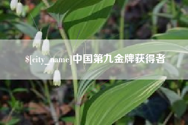 鄂尔多斯中国第九金牌获得者