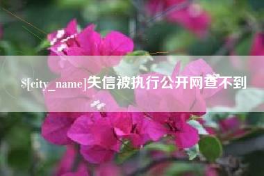 鄂尔多斯失信被执行公开网查不到