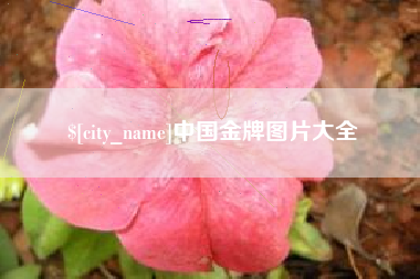 鄂尔多斯中国金牌图片大全