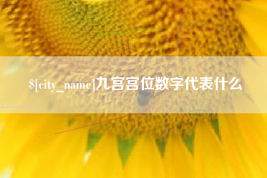 鄂尔多斯九宫宫位数字代表什么