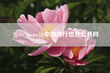鄂尔多斯1.中国执行信息公开网