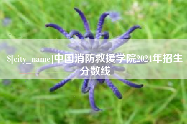 鄂尔多斯中国消防救援学院2024年招生分数线