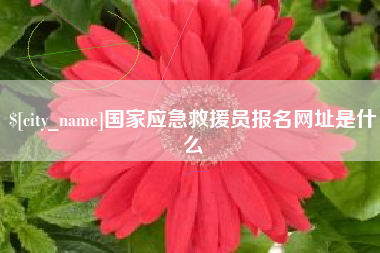 鄂尔多斯国家应急救援员报名网址是什么