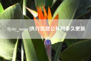 鄂尔多斯执行信息公开网多久更新