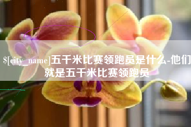 鄂尔多斯五千米比赛领跑员是什么-他们就是五千米比赛领跑员