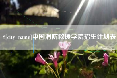鄂尔多斯中国消防救援学院招生计划表