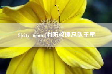 鄂尔多斯消防救援总队王星