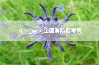 鄂尔多斯全国消防招考网