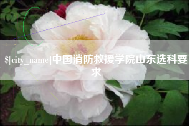 鄂尔多斯中国消防救援学院山东选科要求