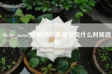 鄂尔多斯中国消防救援学院什么时候政审