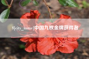 鄂尔多斯中国九枚金牌获得者