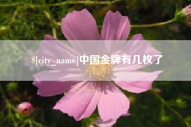 鄂尔多斯中国金牌有几枚了