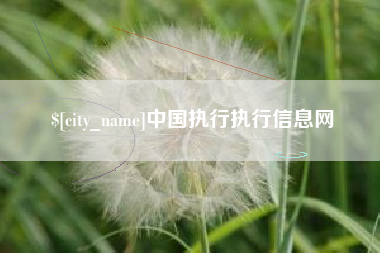 鄂尔多斯中国执行执行信息网