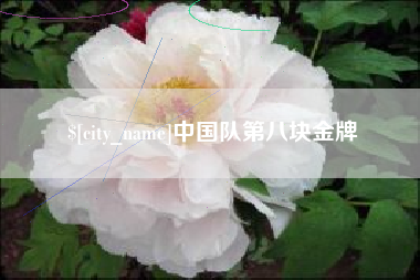 鄂尔多斯中国队第八块金牌