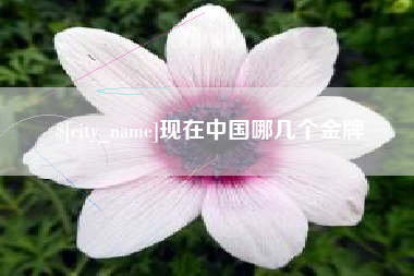 鄂尔多斯现在中国哪几个金牌