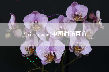 鄂尔多斯中国消防官方