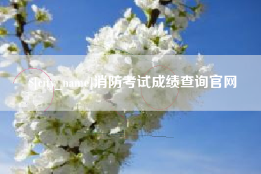 鄂尔多斯消防考试成绩查询官网