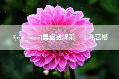 鄂尔多斯奥运金牌第二个九宫格