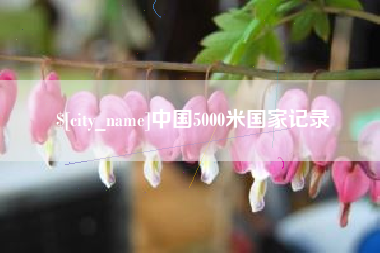 鄂尔多斯中国5000米国家记录