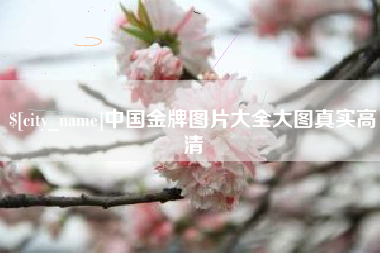 鄂尔多斯中国金牌图片大全大图真实高清