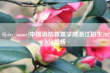 鄂尔多斯中国消防救援学院浙江招生2020分数线