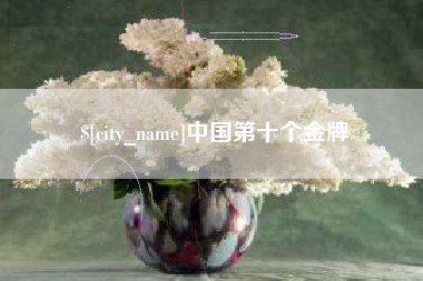 鄂尔多斯中国第十个金牌