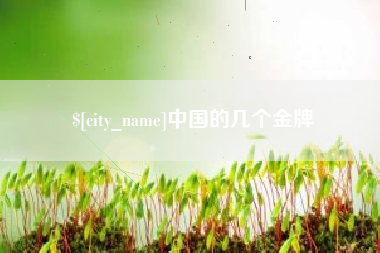 鄂尔多斯中国的几个金牌