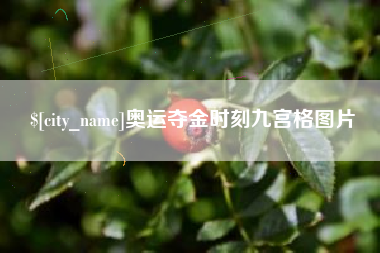 鄂尔多斯奥运夺金时刻九宫格图片