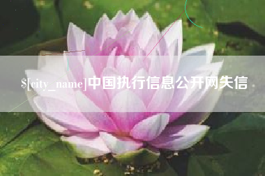鄂尔多斯中国执行信息公开网失信