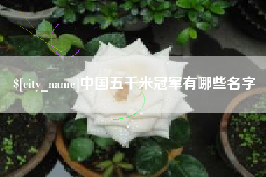 鄂尔多斯中国五千米冠军有哪些名字