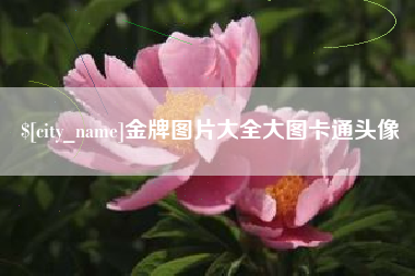 鄂尔多斯金牌图片大全大图卡通头像
