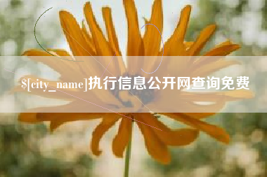 鄂尔多斯执行信息公开网查询免费