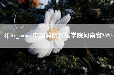 鄂尔多斯中国消防救援学院河南省2020